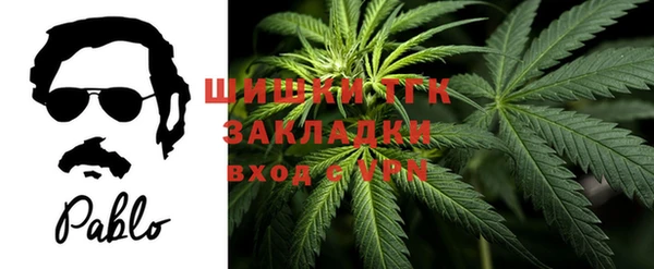 амфетамин Каменка