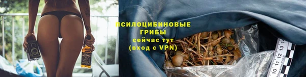 MDMA Карпинск