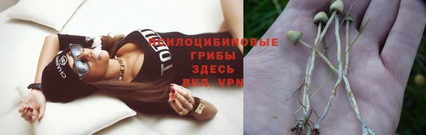 кокаин премиум Каменногорск
