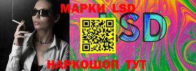 индика Гатчина