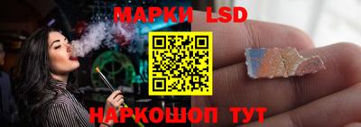 индика Гатчина