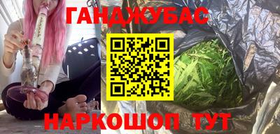 индика Гатчина