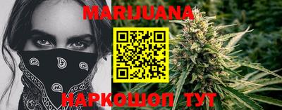 индика Гатчина