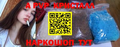 индика Гатчина