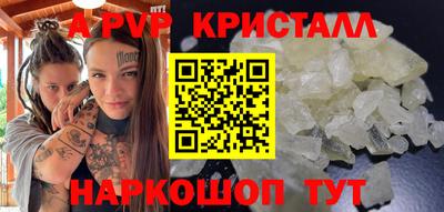 индика Гатчина