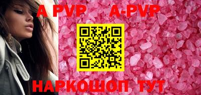 индика Гатчина