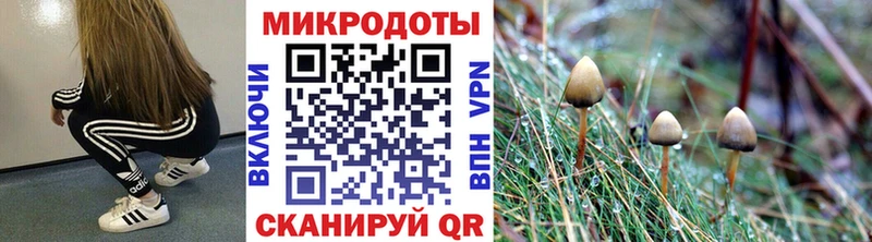 мориарти состав  Коммунар  Псилоцибиновые грибы Psilocybine cubensis  MEGA ONION 