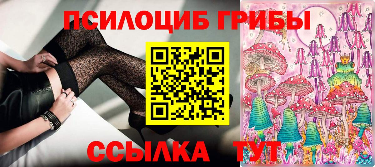 Галлюциногенные грибы GOLDEN TEACHER  Псилоцибиновые грибы Psilocybine cubensis  Вход с VPN  Коммунар 