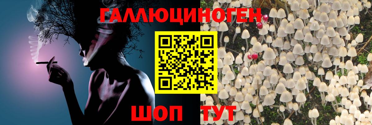 Галлюциногенные грибы мухоморы Коммунар